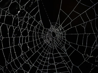 ¿Qué sucede si hay una falla del sistema en una aplicación web personalizada?