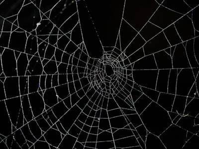 ¿Qué sucede si hay una falla en el sistema en el desarrollo de software web a medida?