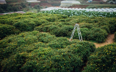 Técnicas avanzadas y aplicaciones de reconocimiento de lugares LiDAR en entornos agrícolas: Una encuesta integral