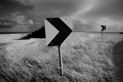 ¿Qué es la velocidad de decisión y por qué es importante?