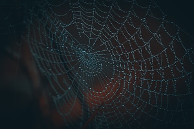 10 Trucos que Todo Usuario de la Dark Web Debería Conocer