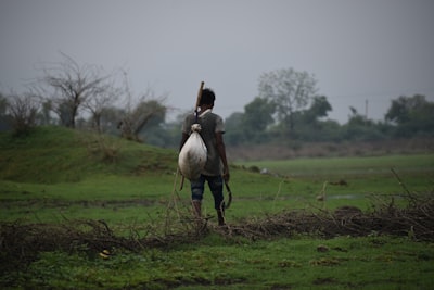 Por qué se está entrenando la Inteligencia Artificial en la India rural