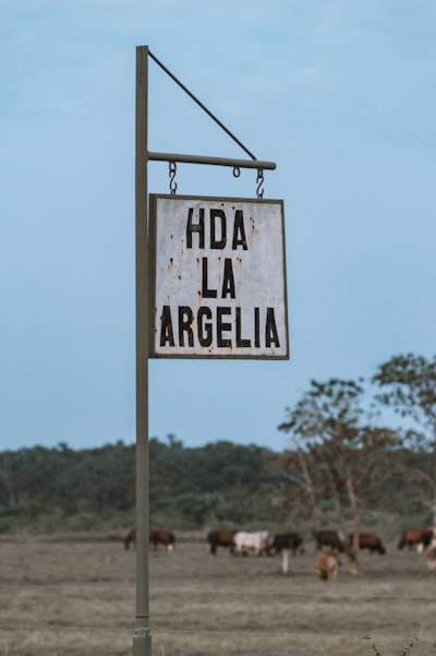 La guía definitiva para encontrar servicios de desarrollo de IA en Águilas