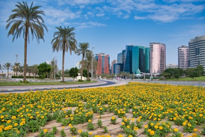 Top 5 Expertos en desarrollo de flujos de trabajo n8n en Medina del Campo