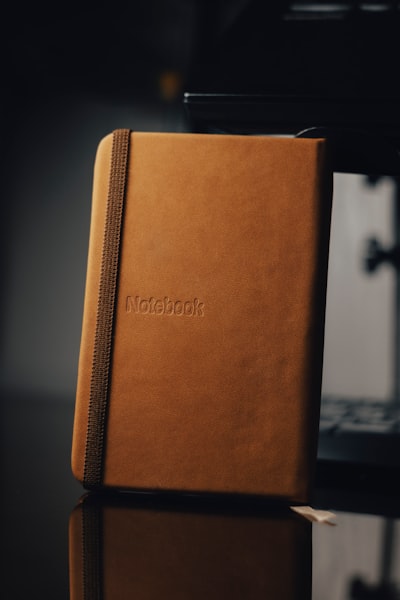 ¿Open Notebook: ¿Una verdadera alternativa de cuaderno privado de código abierto LM?
