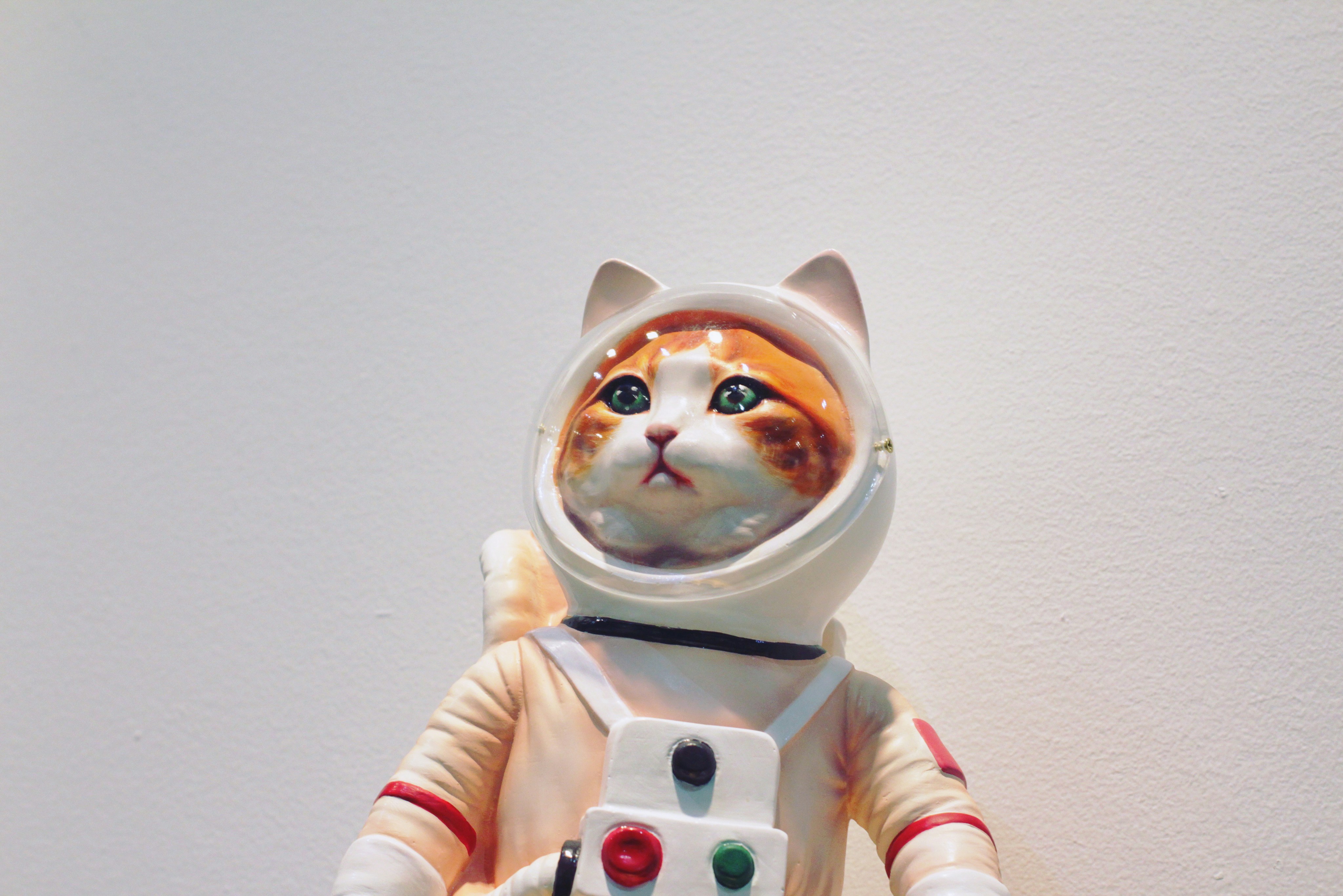 Puede que la inteligencia artificial detecte erizos desde el espacio? Posiblemente si se encuentra cardos primero.