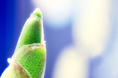 ¿Qué problemas comerciales resuelve el desarrollo personalizado de ERP para la fabricación?