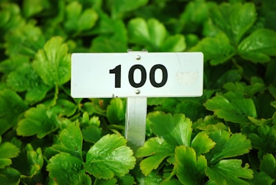 Mejores 100 empresas para consultoría de hoja de ruta de transformación digital en Málaga