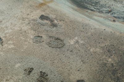  LLM Fingerprinting a través de Marcas de Agua Semánticamente Condicionadas