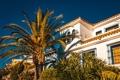 Top 10 Expertos en AGENCIA de IA en Marbella