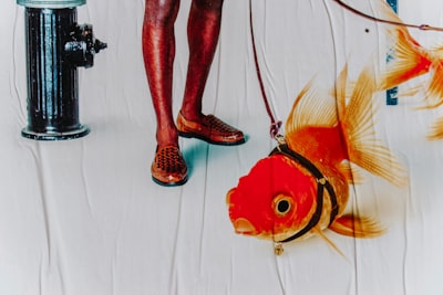 La IA depura código mientras los humanos chatean como peces de colores