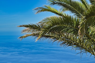  servicios de desarrollo de aplicaciones web en Palma