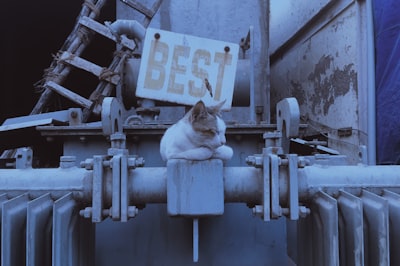 Las 5 mejores empresas para trabajadores de IA para PYMEs