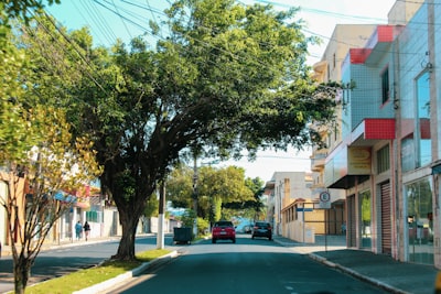 La guía definitiva para encontrar servicios de desarrollo de n8n en Puertollano