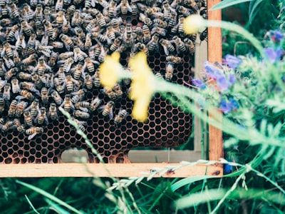 Mejores 100 empresas para servicios de integración de API para negocios en Alicante