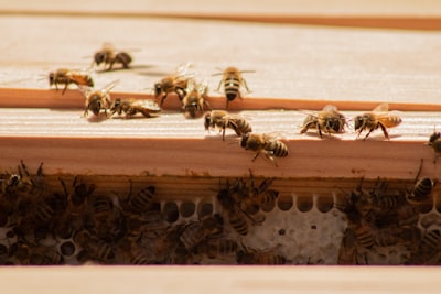 Top 15 Expertos en servicios de integración de API para empresas en Valladolid