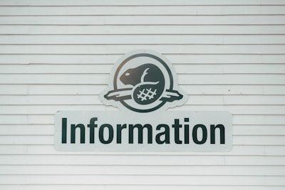 Cómo implementar la automatización de notificaciones internas en mi empresa