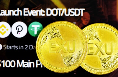  Top 100 expertos en desarrollo por horas y tokens en Madrid