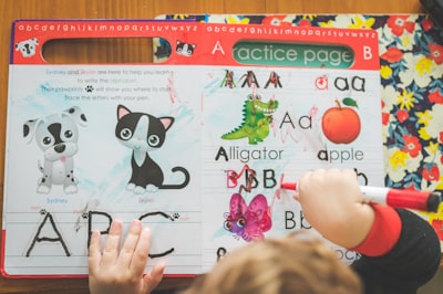 Cómo se beneficia la educación española al crear páginas web: Perspectivas de expertos