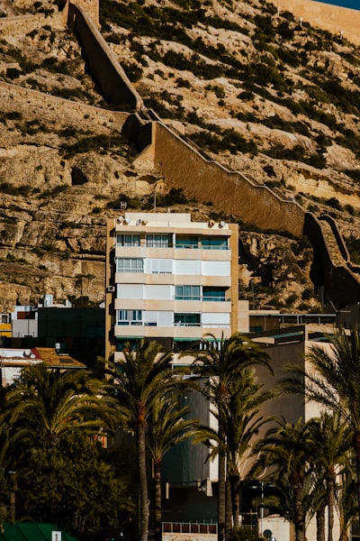 diseño de página web de negocios profesional en Alicante