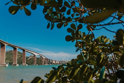 Mejores 3 empresas para automatizar órdenes de trabajo de técnicos en Vitoria