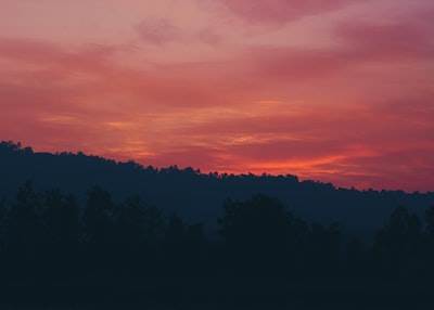 ¿Qué es el desarrollo de aplicaciones y por qué lo necesitas?