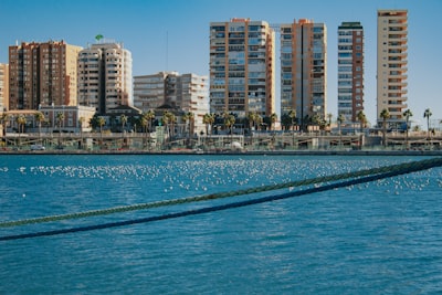 Mejores 3 empresas para el desarrollo de flujos de trabajo n8n en Murcia