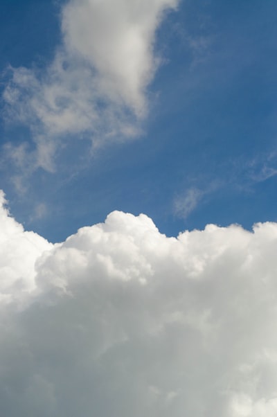 Top 100 Expertos en alojamiento en la nube para aplicaciones de software personalizado en Palma