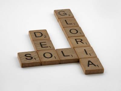 Define la empresa individual y sus características clave