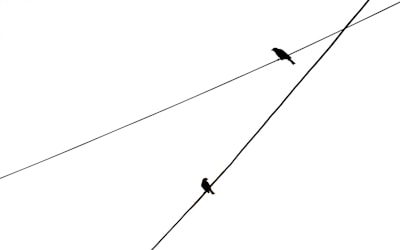 Equilibrio de Stackelberg evolutivamente estable