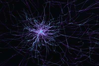 Visualización de circuitos cuánticos a través de redes neuronales de gráficos dinámicos para una comprensión algorítmica mejorada