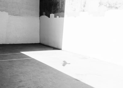  De principiante a constructor: Cómo el curso intensivo de agente de IA cambió mi comprensión de la IA