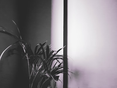 Construyendo AI de ventas en tiempo real desde cero a uno en Rilla (Alexander Jabbour)