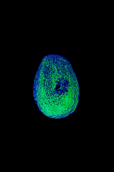 Modelo neuro-simbólico para la detección de fraudes en tiempo real en la inteligencia artificial explicativa en producción