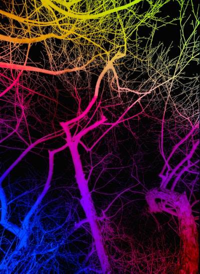 Comprendiendo los gradientes: El motor detrás del aprendizaje de la red neuronal