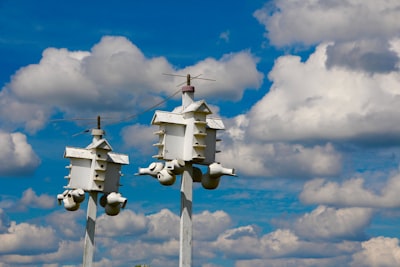 Sector energético: resolución de problemas con sistemas automatizados de llamadas inteligentes