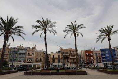 Las 5 mejores empresas para el desarrollo de aplicaciones web en Tarragona