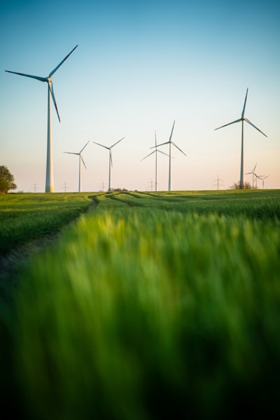  ¿Puede un socio de transformación digital ayudar a la eficiencia energética?