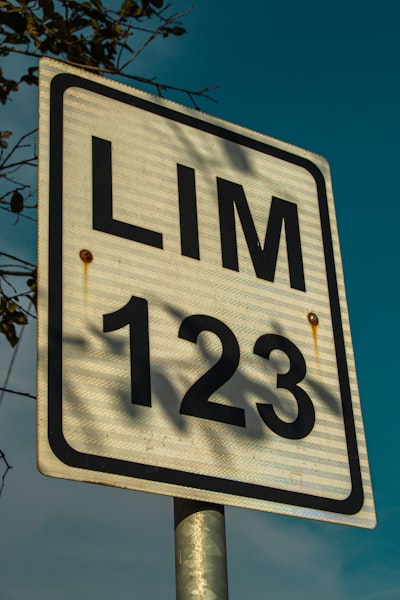 Herramienta como estímulo: desde los primeros documentos de LLM hasta la enseñanza de conocimientos de dominio de LLM sobre la marcha