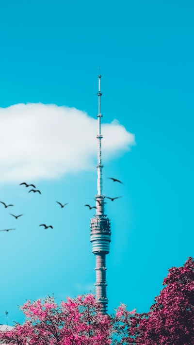 ¿Cómo mejoran los servicios de migración a la nube la comunicación interna?