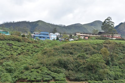 Top 50 Expertos en servicios de desarrollo de n8n en Totana