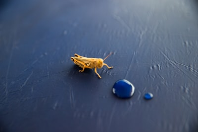  Cuando los tests generados por IA pasan pero no detectan el error: un análisis postmortem sobre pruebas de unidad tautológicas