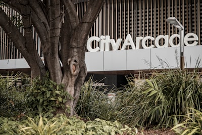 Las 50 mejores empresas de servicios de desarrollo de inteligencia artificial en Caravaca de la Cruz