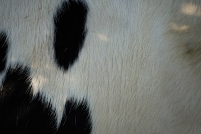 Iloc vs Loc en Pandas: Una guía con ejemplos