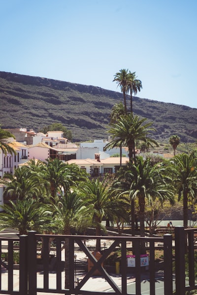 Las 5 mejores empresas para automatizar revisiones de rendimiento en Las Palmas de Gran Canaria