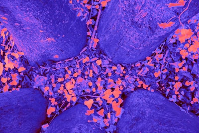 Predicción del cáncer de páncreas en etapa temprana a través de un microarray de microfluidos de aptámeros de XNA con selección de características impulsada por IA