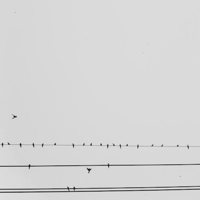 Día 2 — Regresión Lineal: Cómo una Línea Recta Aprende de los Datos