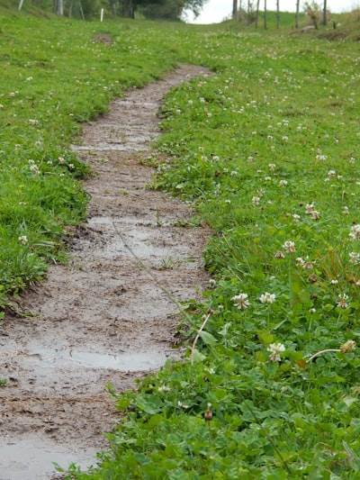 Escogiendo el camino correcto: Una comparación de enfoques de MLOps