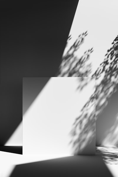 Cómo escanear códigos QR fácilmente en Windows 11 desde tu PC