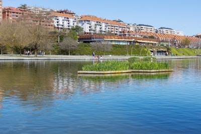 Las 5 mejores empresas de consultoría de software en Laguna de Duero